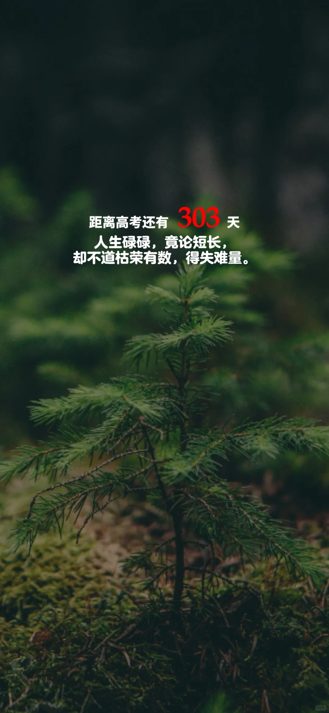 2025高考倒计时，每日更新。