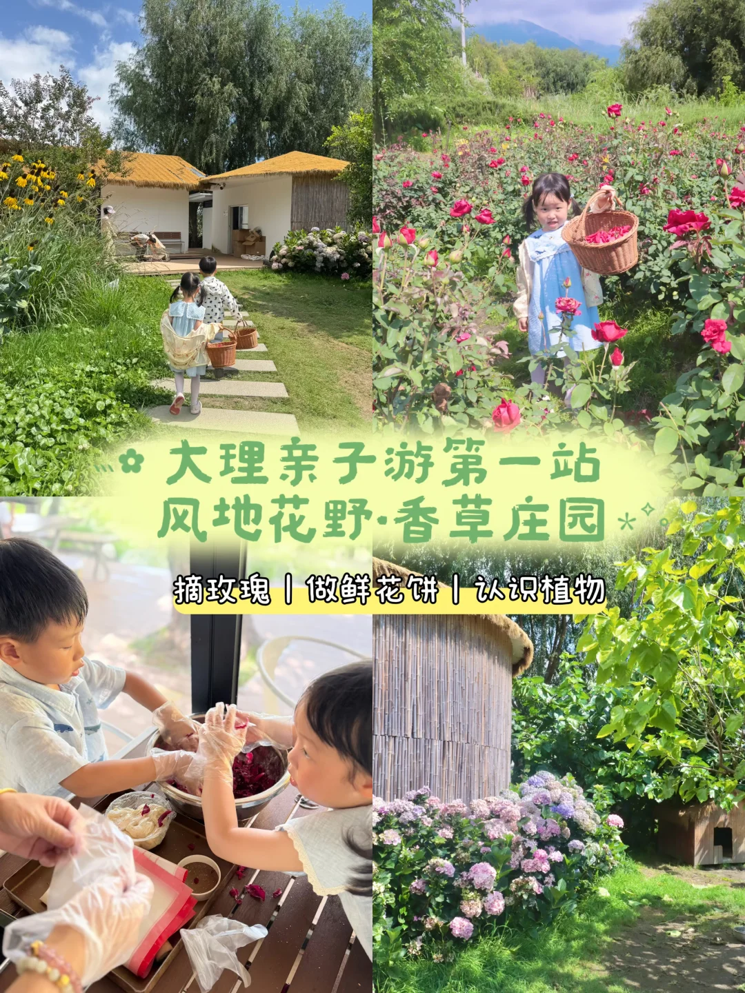 在大理亲子游🍃我们闯进庄园做鲜花饼🌹
