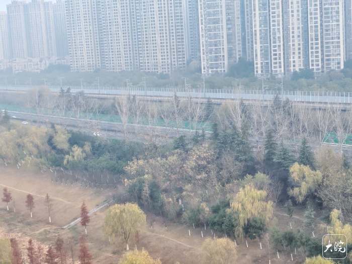 寒冬里最高温达24℃ ！冷空气抵达前安徽气温还要“疯一下”