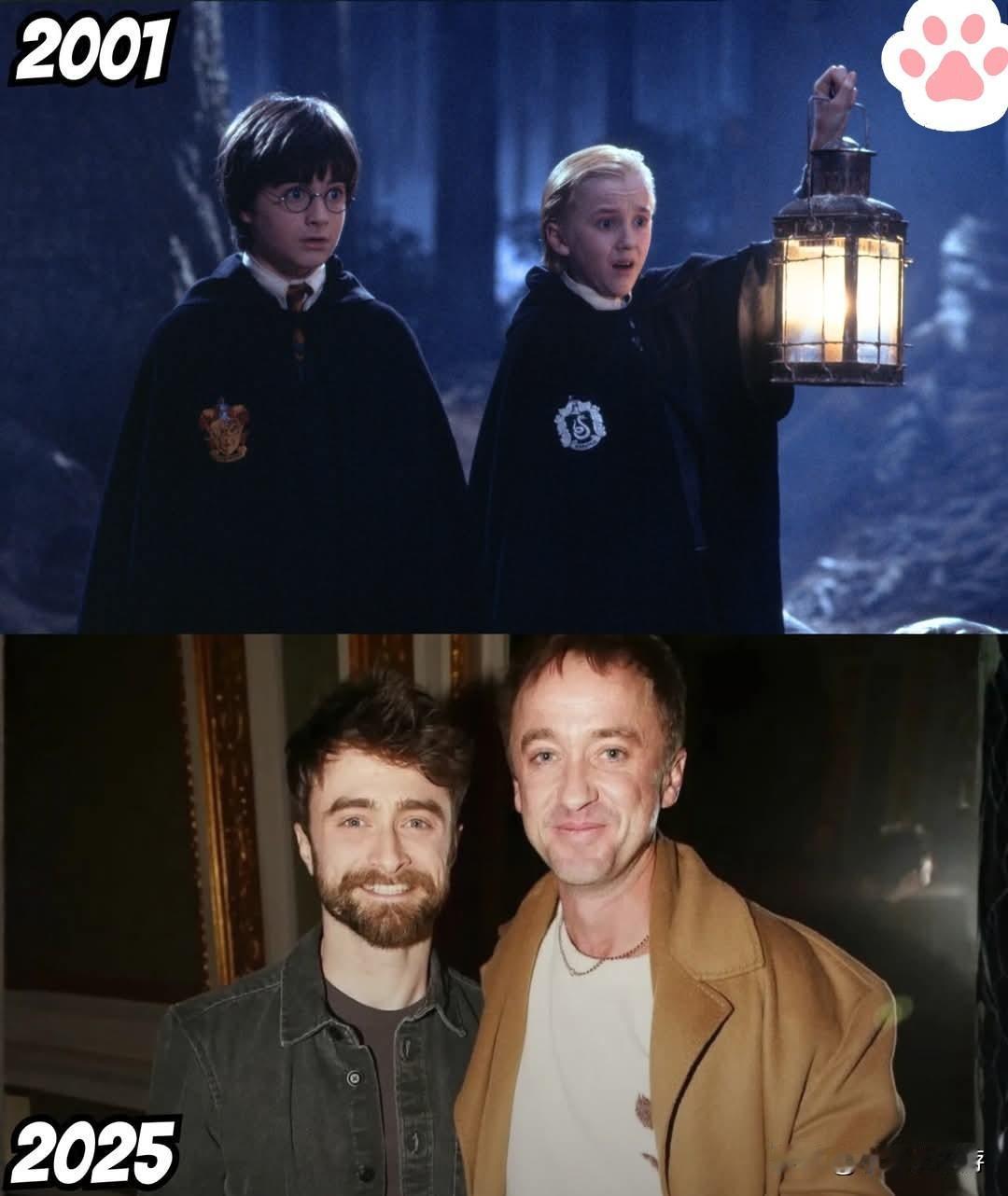 丹尼尔·拉德克利夫和汤姆·费尔顿在《哈利·波特与魔法石》上映近 25 年后再次相