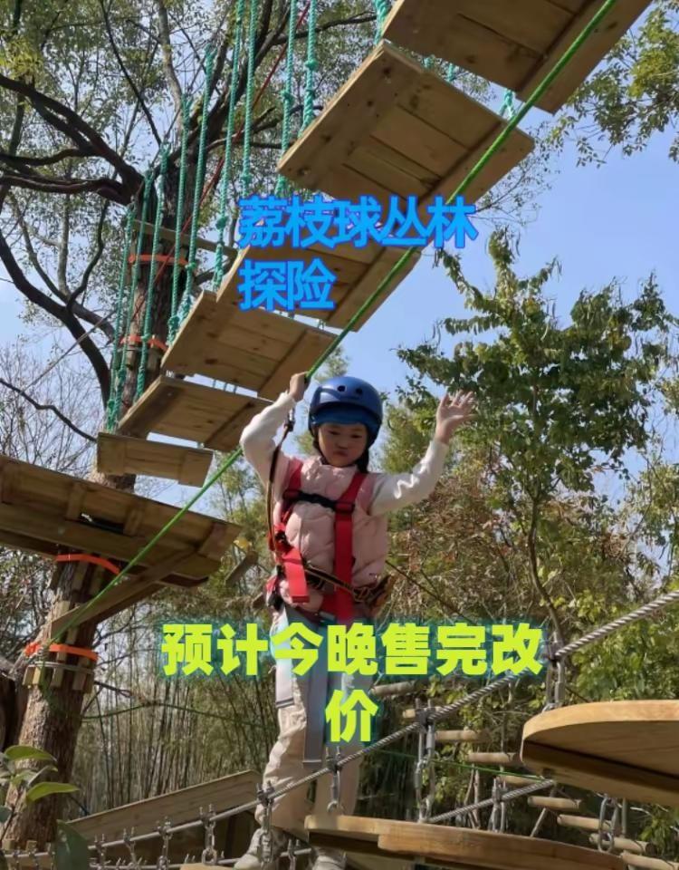 荔枝球丛林探险。荔枝球丛林探险丛林探险练胆量挑战自己突破自己