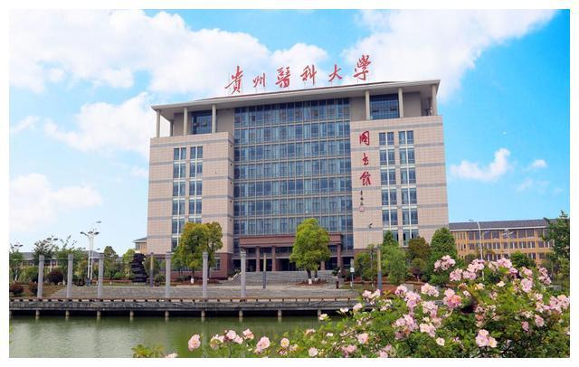 震惊！
贵州省2024年最好大学排名：36所大学上榜，贵州医科大学排第3
贵州，