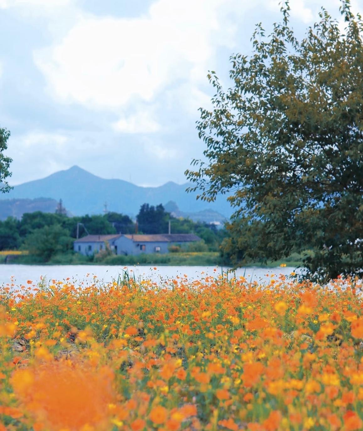 你怎么看2026年放假安排一出，朋友圈秒变“人间真实”现场：春节连休9天，堪比给