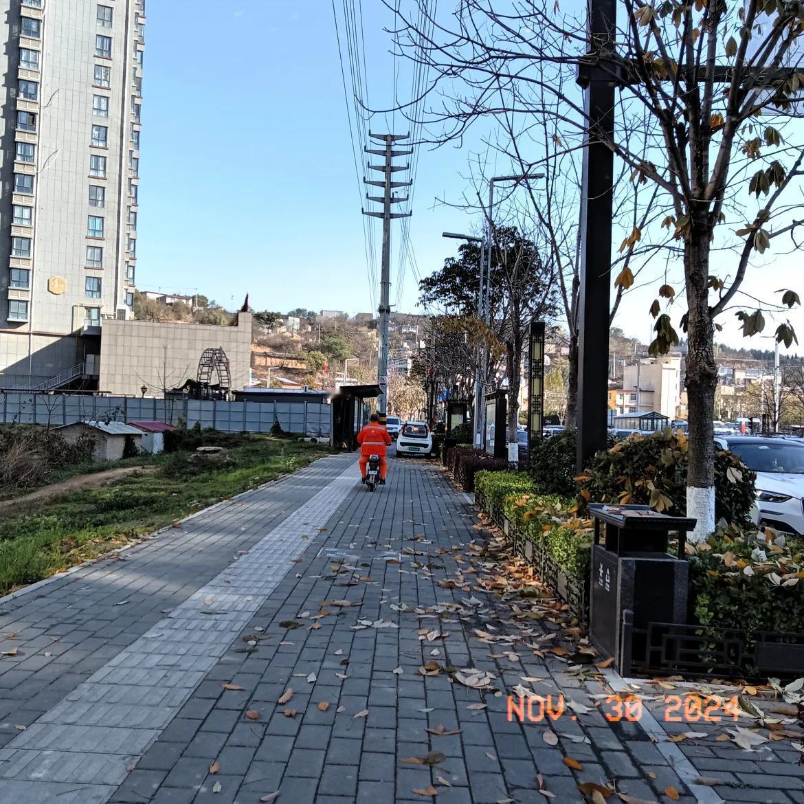 秋日漫步，落叶铺满小路，暖阳洒满心间。秋冬散步随手拍 随手拍初冬景色