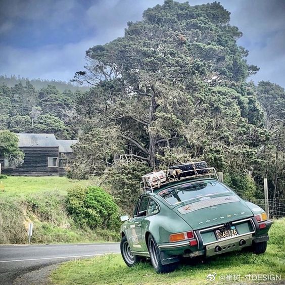 911野路子。 