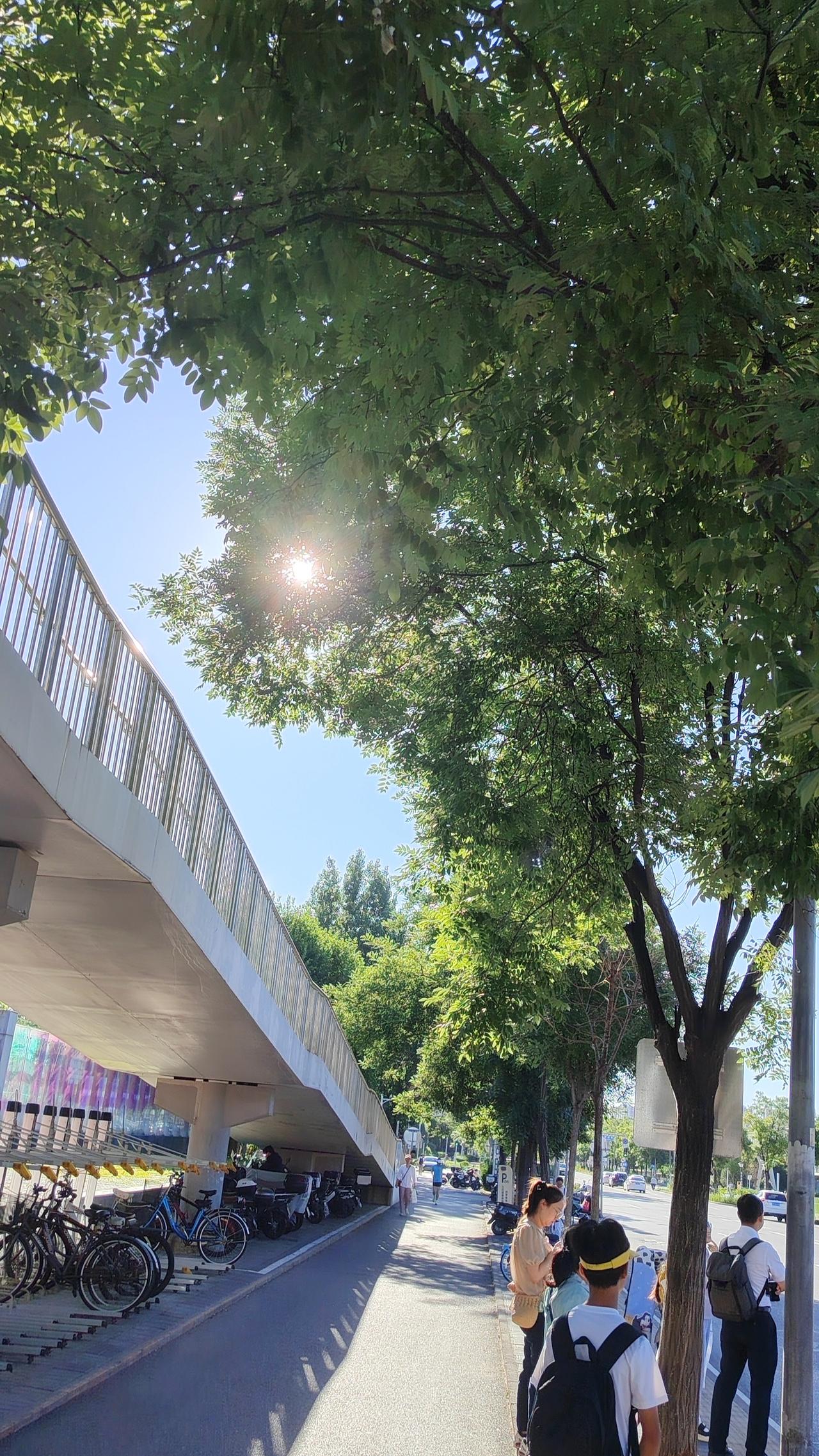 驴子掉入枯井，众人无奈决定将其掩埋。泥土落下时，驴子却抖落背上的泥土踩在脚下，借