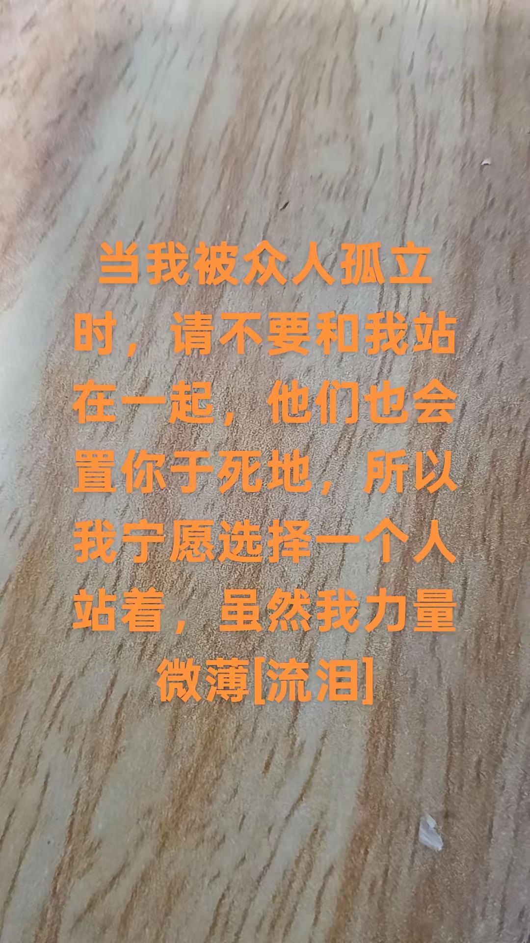 当我被众人孤立时，请不要和我站在一起，他们也会置你于死地，所以我宁愿选择一个人站