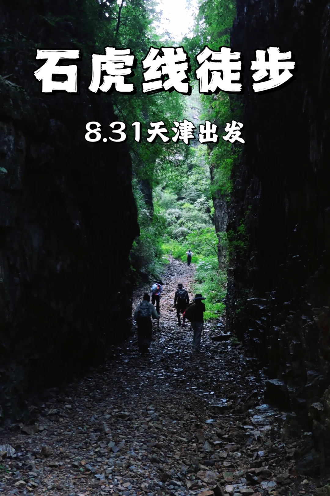 离天津3h，找到了原始的天然氧吧