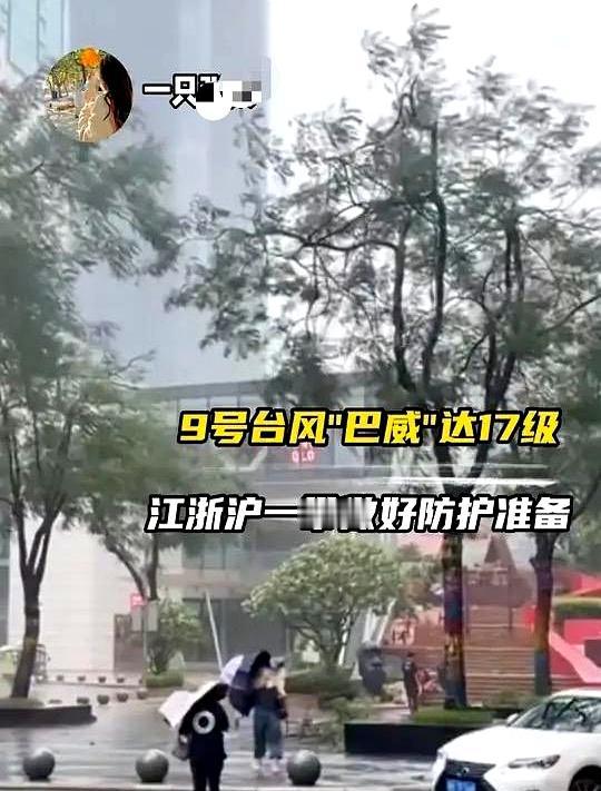 风一到沿海，玻璃像鼓面抖，门缝呜哨，这时才懂：台风不跟人讲理。
经历过摩羯17级