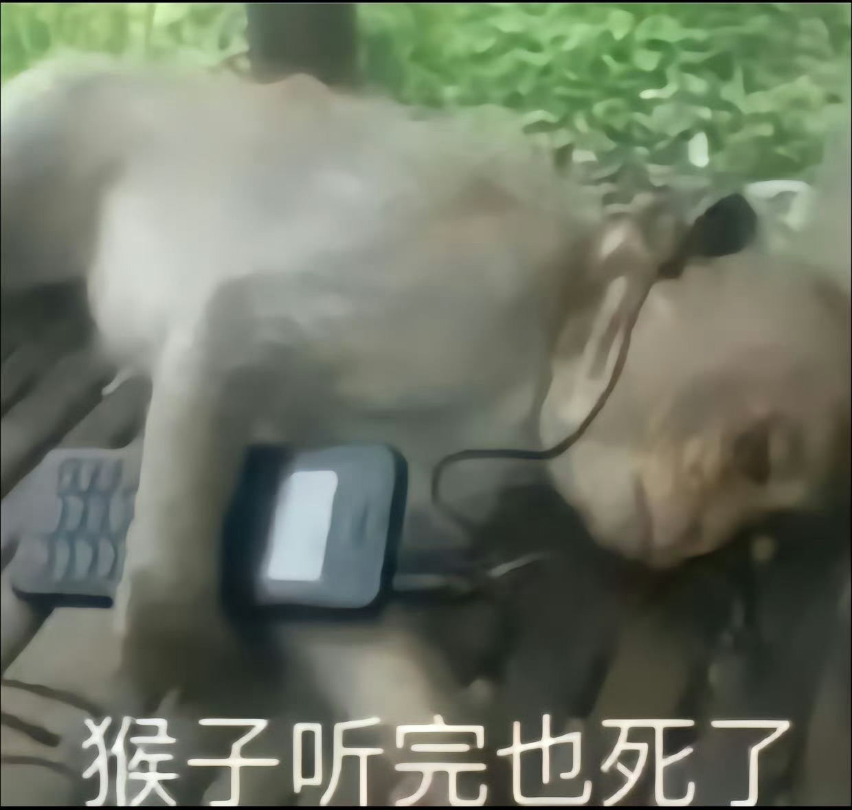 叽叽📉📉📉📉喔叽[苦涩]🙉💸💸💸 ​​​