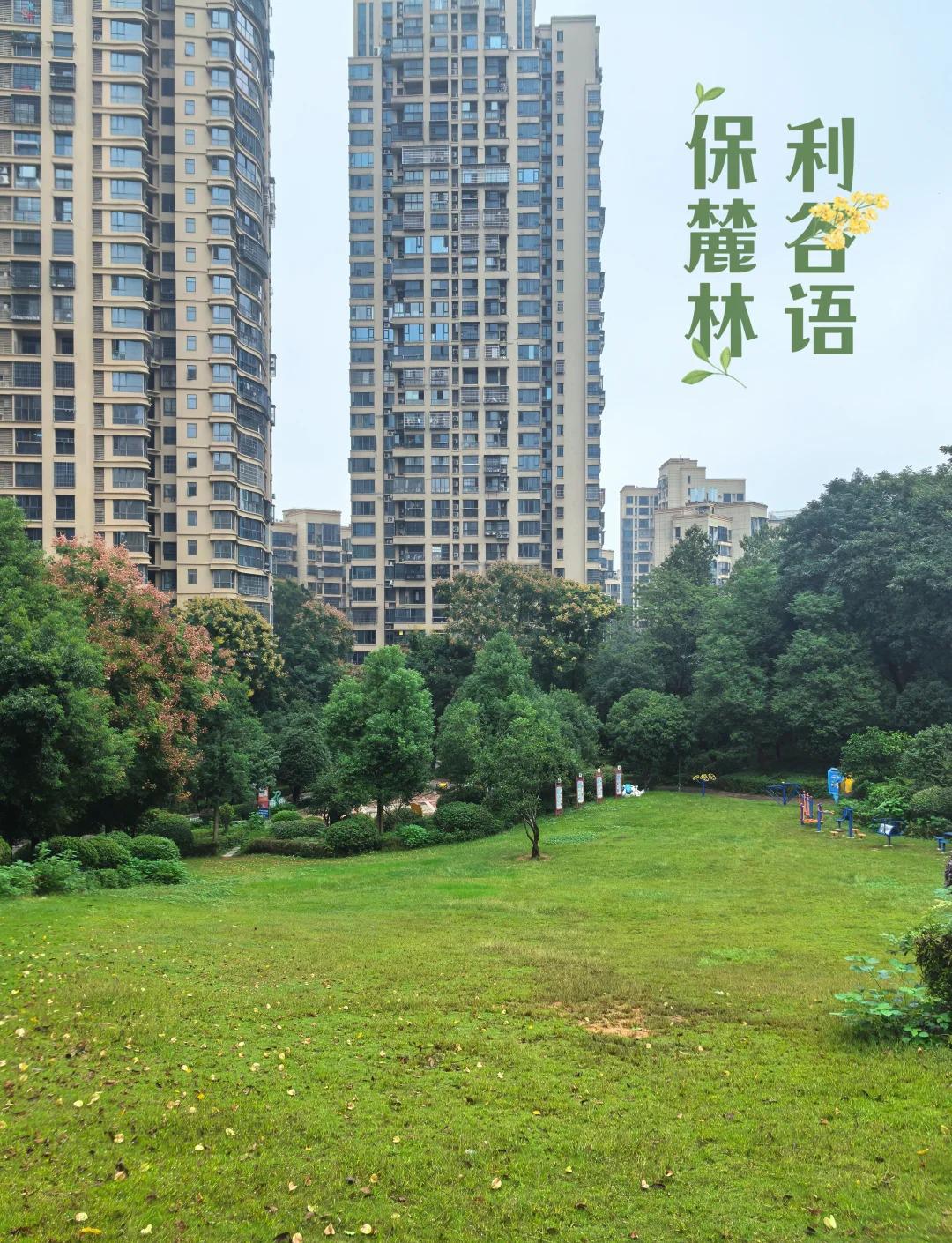 没想到我曾经住过的长沙市保利麓谷林语小区突然出名了，我对它是又爱又恨。爱的是小区