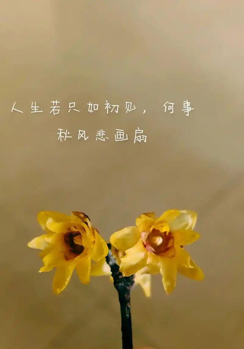 生育从不是一时兴起的选择，而是一场终身无法解约的责任托付。
钱亏了能回本，工作丢