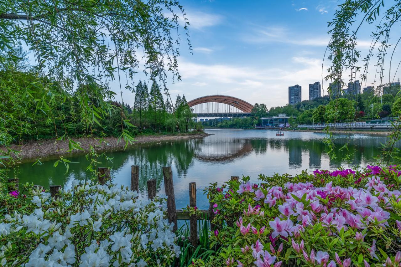 春日生活打卡季春天万物复苏，一片欣欣向荣的景象，可不知是什么东西让我过敏，胳膊手