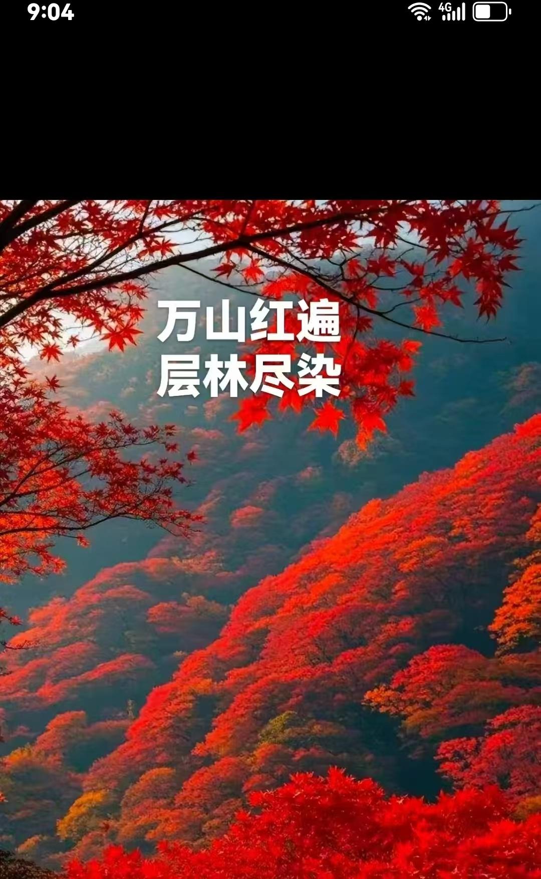 严龙宁：北塔湖即景

        宝塔高耸，壮观雄伟；湖水卧躺，恬静温馨……