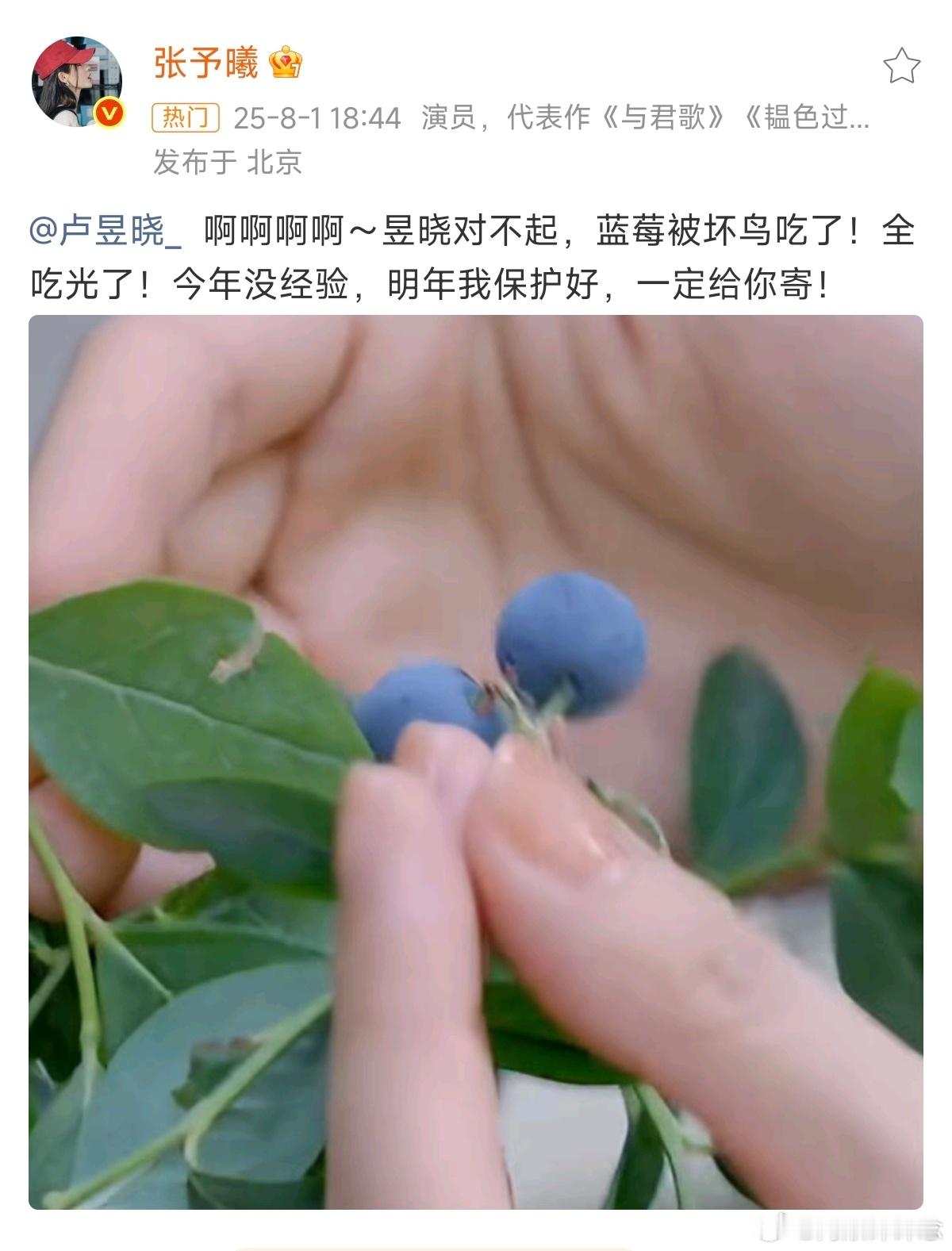 张予曦 卢昱晓对不起两位宝宝好可爱，喜欢这样友好的互动，两位什么时候合作给我们大