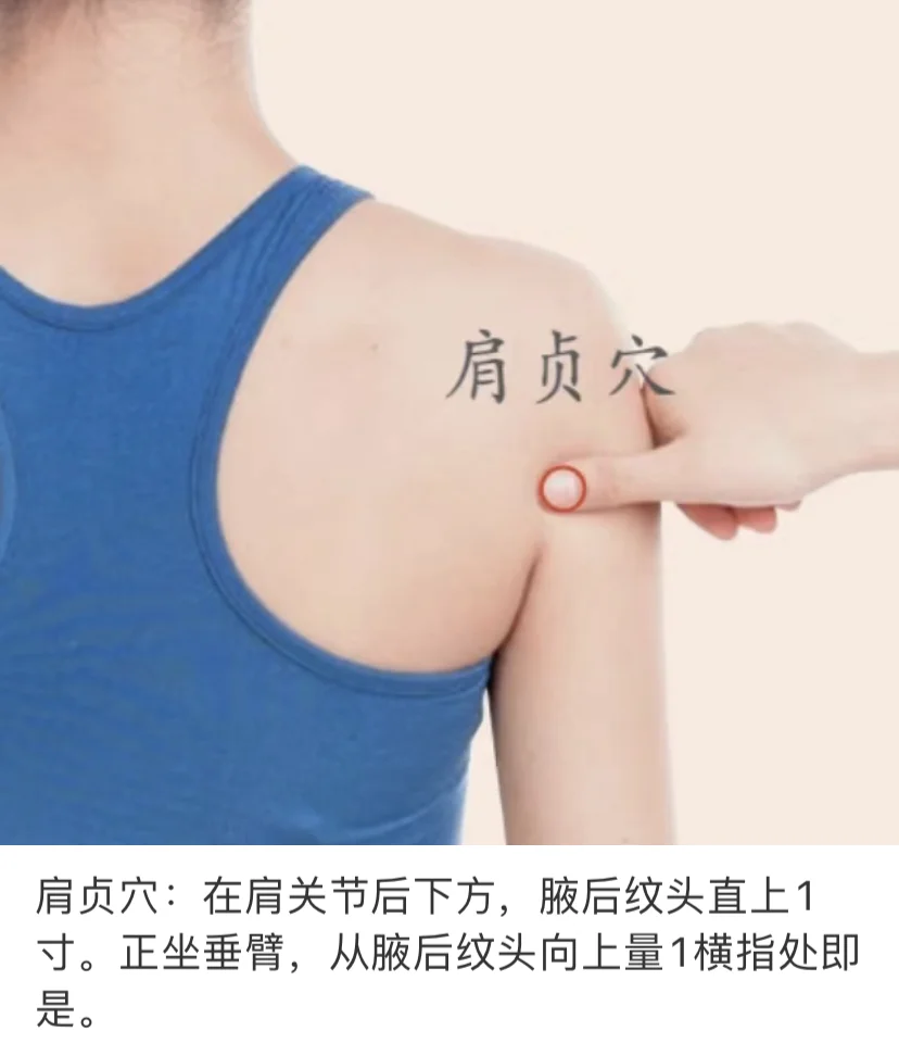 鼠标手殃及肩痛的姐妹