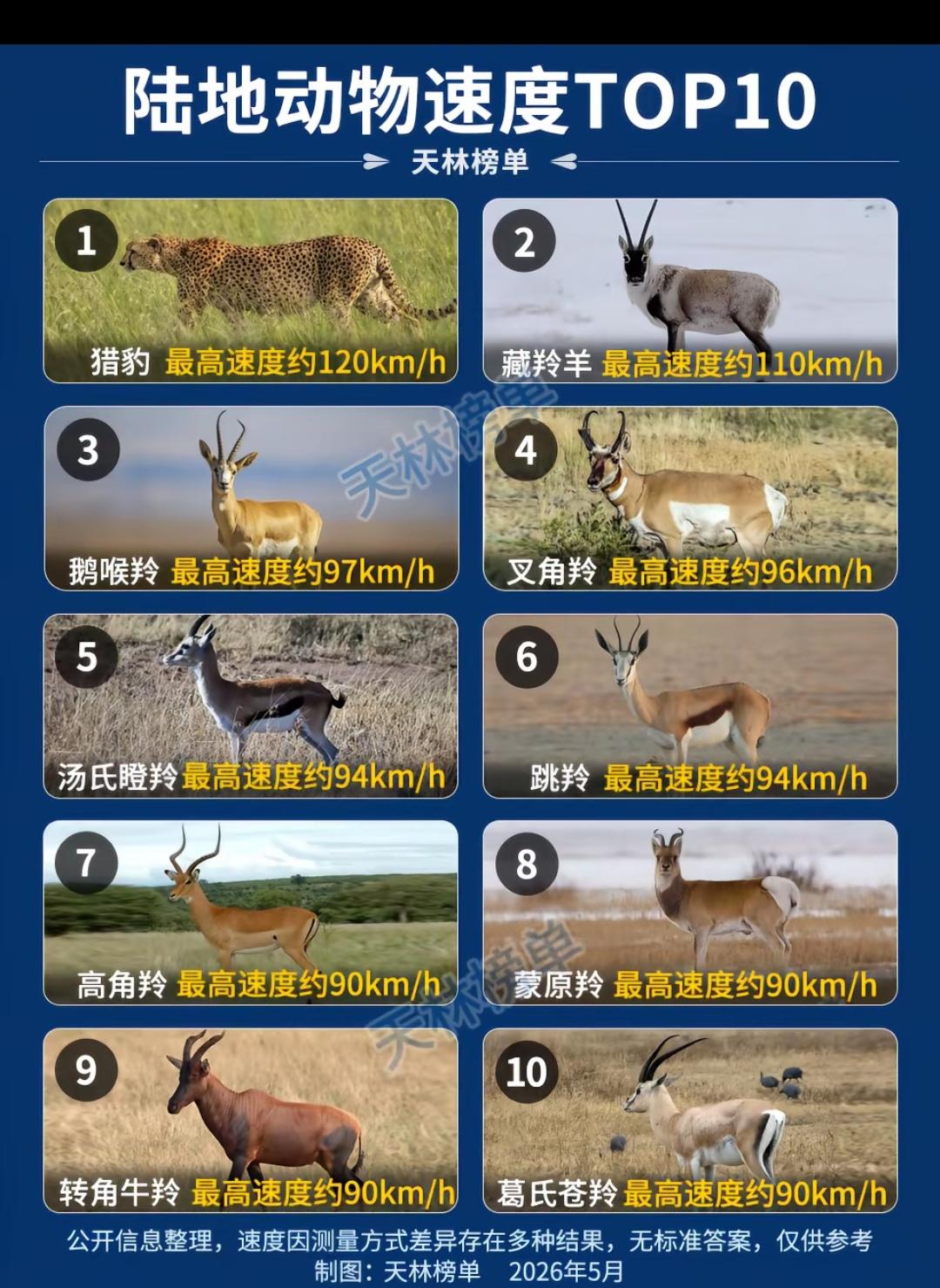 世界上跑得最快的10大高手，全是羚羊，唯独猎豹压制所有羚羊！
  猎豹极速120