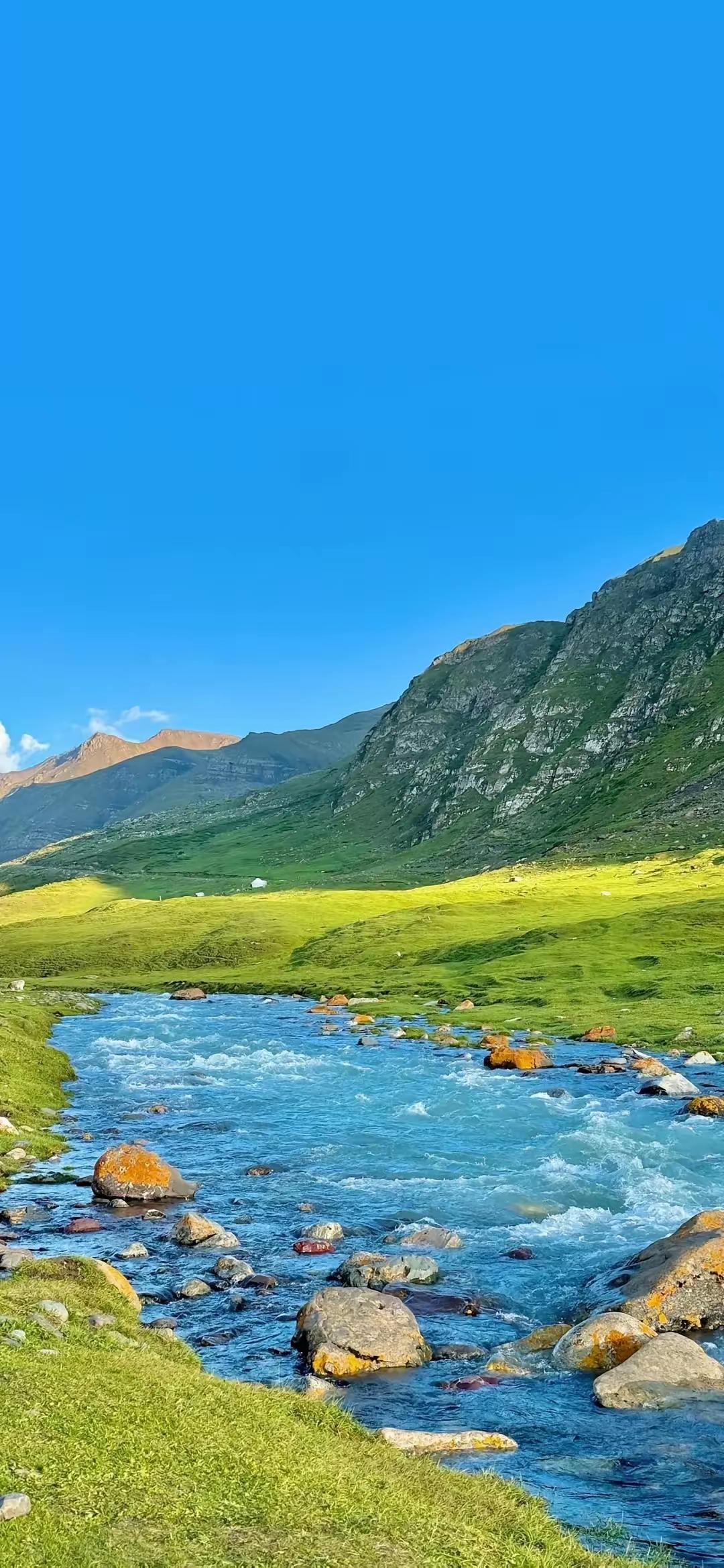 性学专家说:
“男性都是工具人，社会不允许男性无能，婚姻不允许男性贫穷，家庭不允