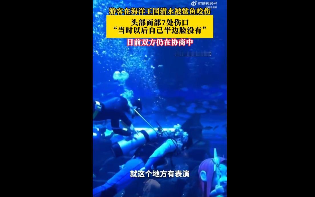 2026年5月15日，长沙湘江海洋王国，律师包先生付费体验“蓝洞猎奇”潜水项目，