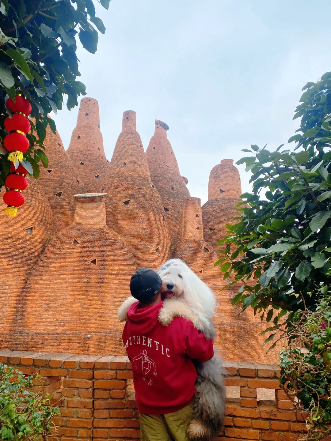 二刷弥勒|这里真的宠物友好！红砖🧱乌托邦