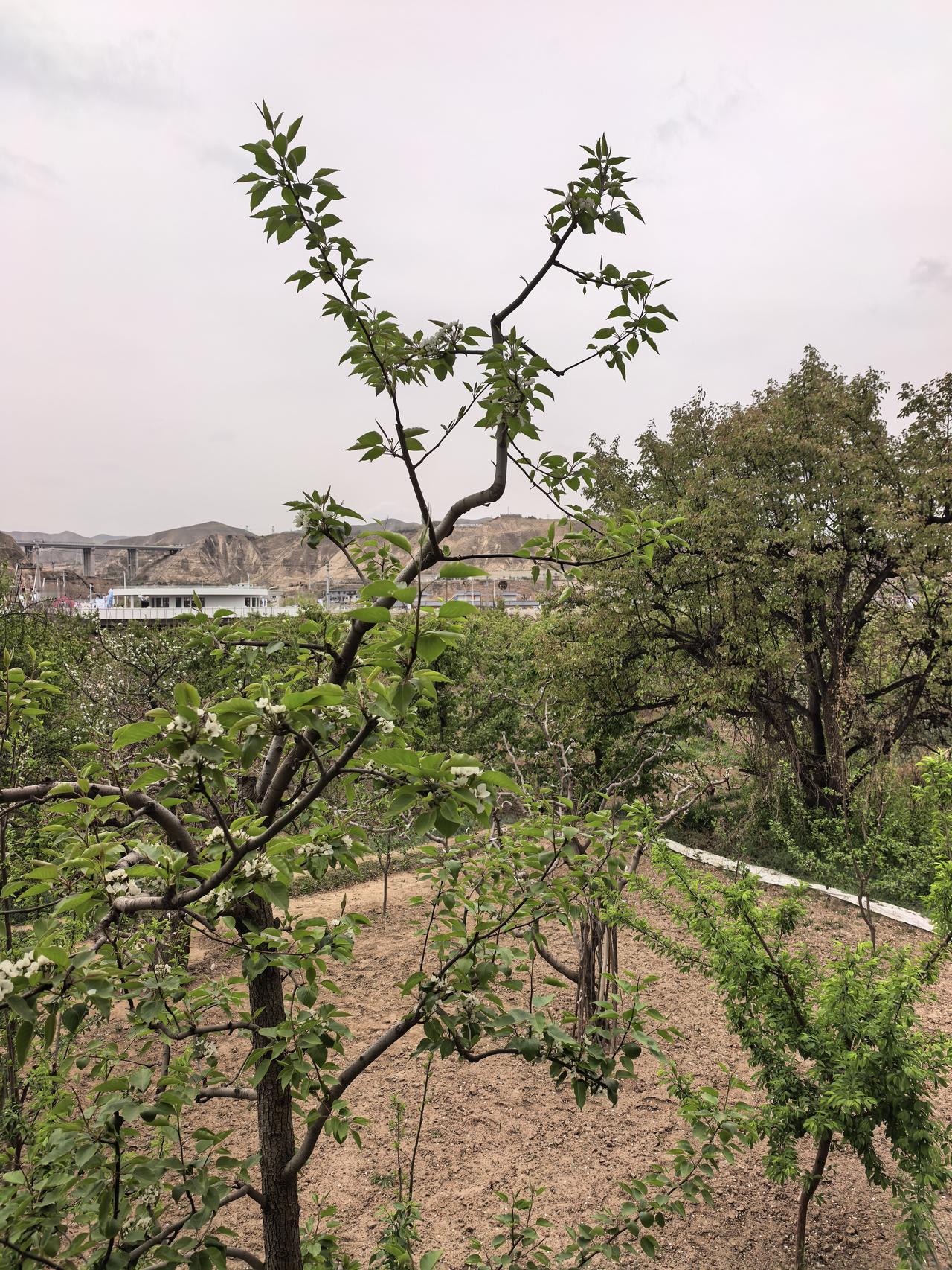 永鼎股份A股本周走势分析及展望

一、本周涨跌概览

本周永鼎股份延续强势上涨态