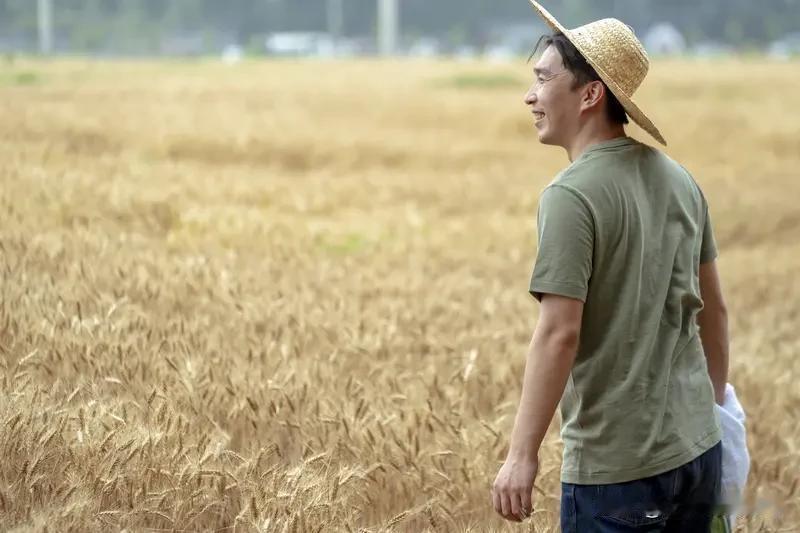 多少中年人，每天睁眼先摸手机，怕错过坏消息，也怕弄丢幸福，活得焦虑又疲惫。我们总