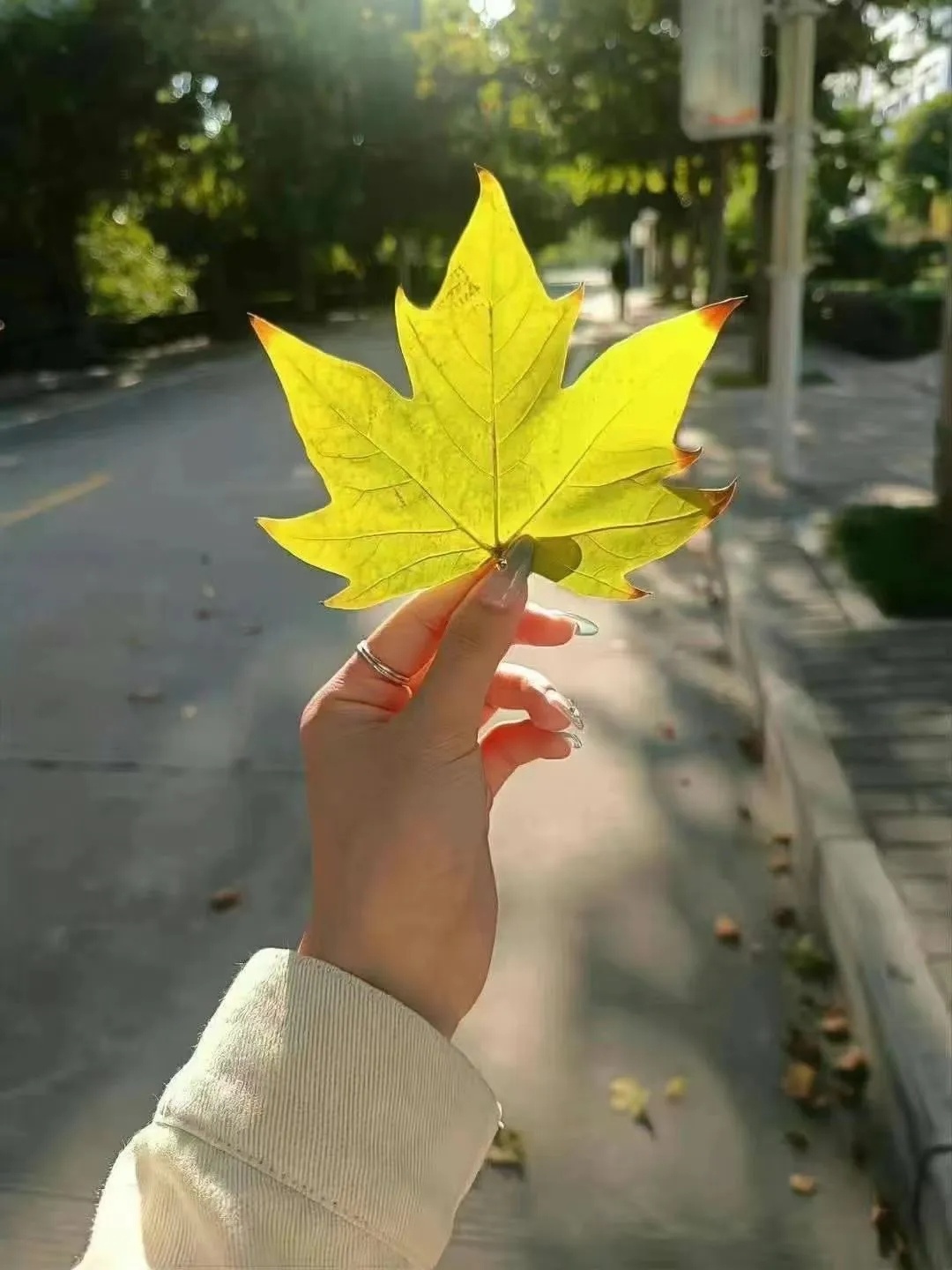 生活没有比较，每个人的路不同，守好自己的节奏。 ​​​