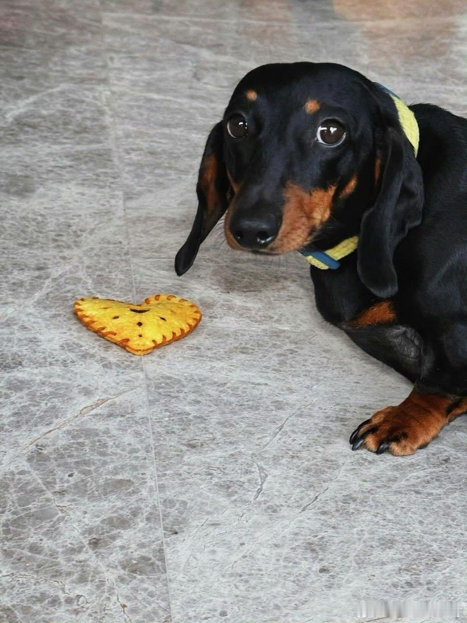 赵露思ins更新了，小露露最近状态超级好，脸上的肉感恢复以后，整个人灵气十足，海