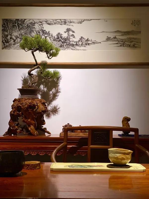 静养怡神
 
闲居静处远尘喧，心敛清宁养本源。
窗下观云消俗虑，案前煮茗润诗魂。