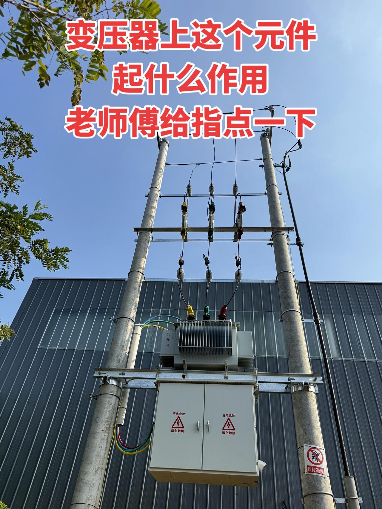 变压器上这个元件起什么作用，老师傅给指点一下！
电工