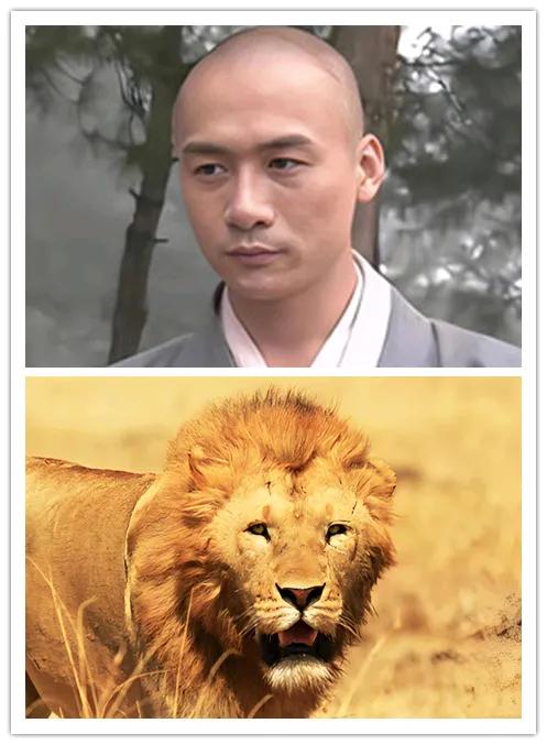 虚竹得传北冥神功，有金庸的猛兽设定。天龙揭秘：虚竹原型之一

虚竹刚得到了无崖子