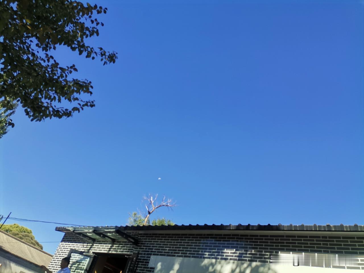 昨天听了一个小姐姐的课
感觉备受感染晚上迟迟无法入睡
很久很久没有这种感触了
