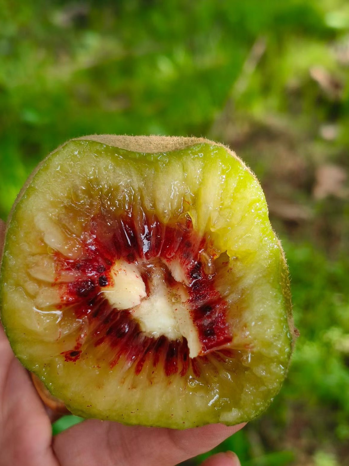 山地人的秋天🍂 ​​​