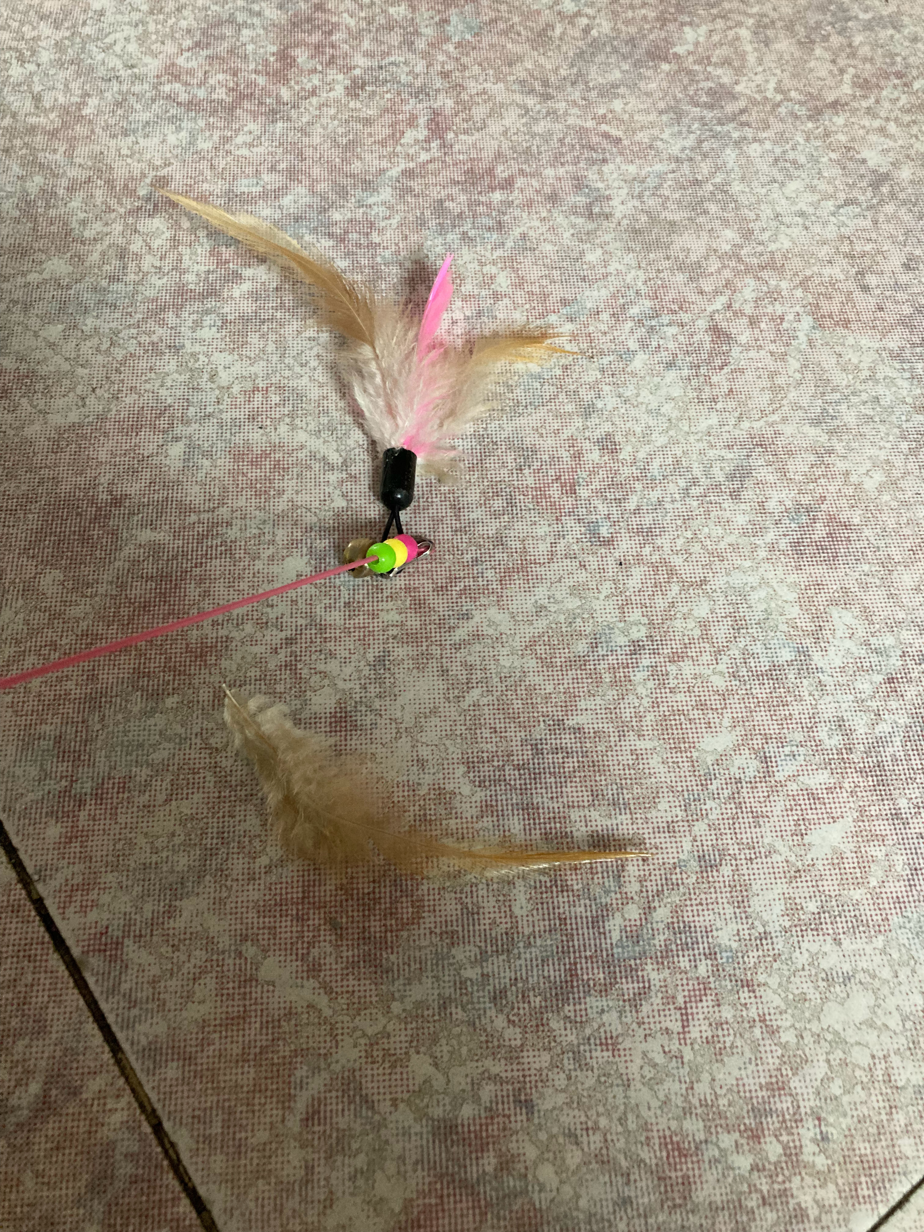 第二根逗猫棒光荣负伤（）果然还是买替换头比较好…… 