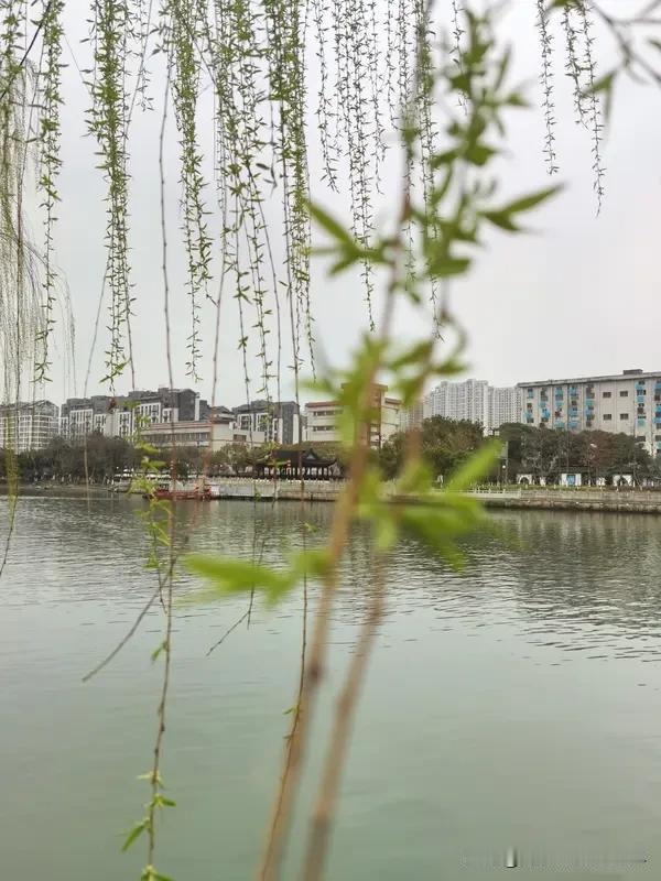 下联，夏雨润开塘里荷！