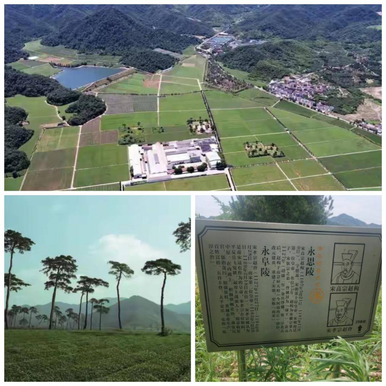 宋六陵考古遗址公园要开建了，重点有赵构（宋高宗）的永思陵。建议南宋皇陵博物馆设岳