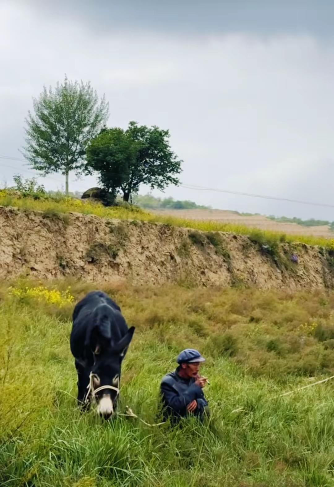 故土难离 故乡原风景