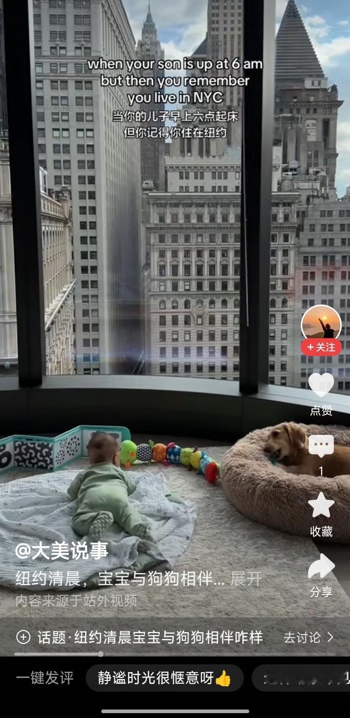 纽约清晨宝宝与狗狗相伴咋样从拍摄者的角度看，纽约的清晨形同鬼蜮……