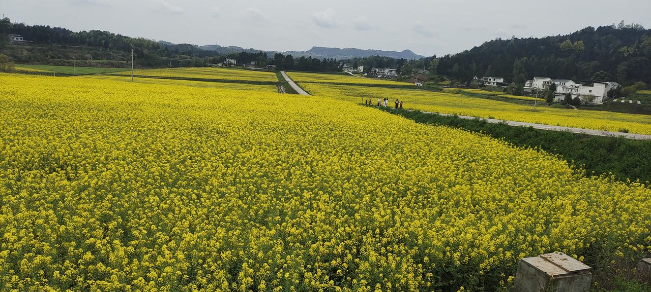 抓住春天的尾巴，即是休闲也是生活。
