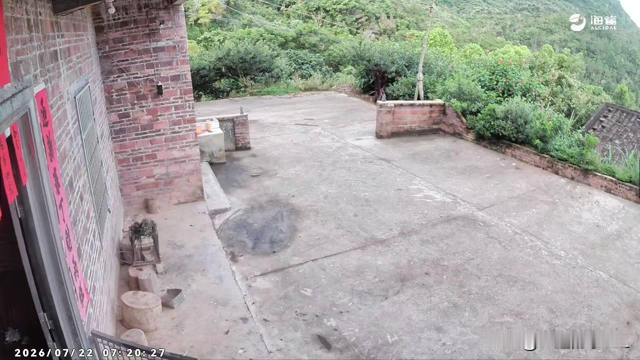 乡村小院，静谧安详，绿意盎然，如世外桃源。