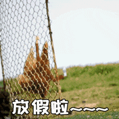 放假了，出去玩了，有缘再见˙Ⱉ˙ฅ 