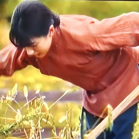 《八千里路云和月》里，张云魁带着韩小月、游昌平等人回到海文县，打算组织队伍抗战。