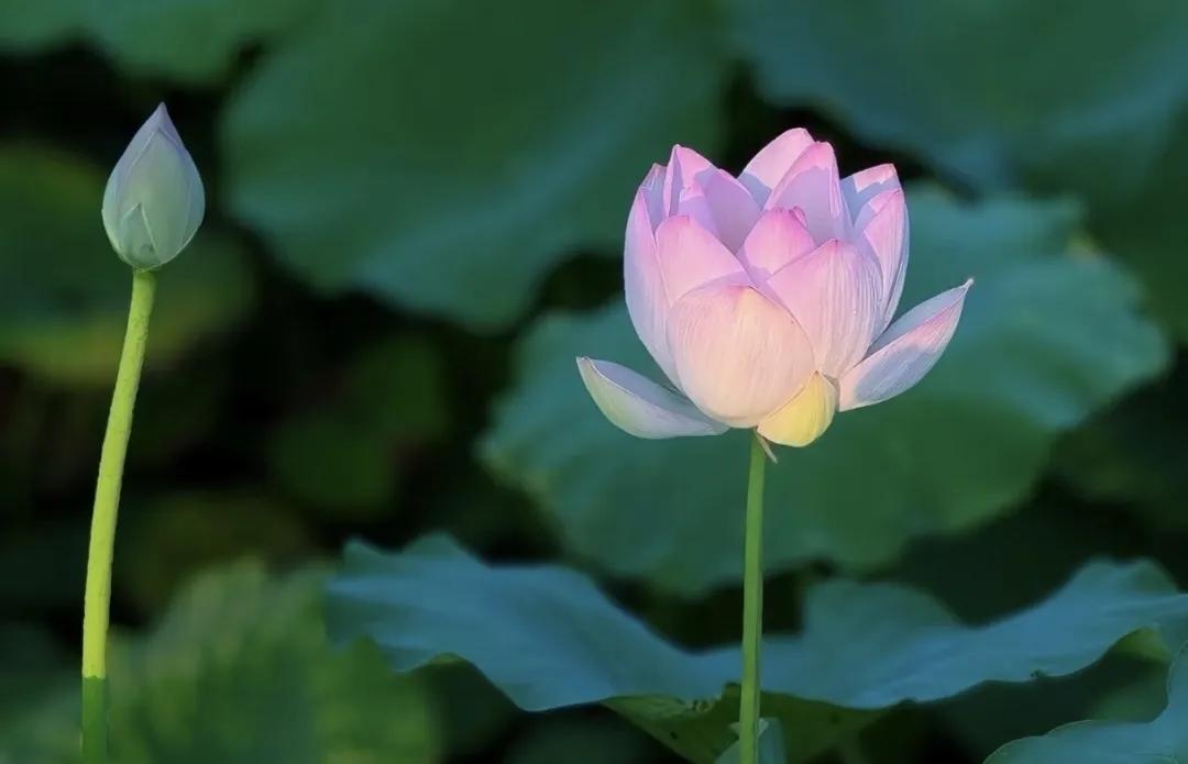 天净沙·释怀
来也孤身一人，
去也孤身一人。
万般皆是前尘。
放下便是安身，
心