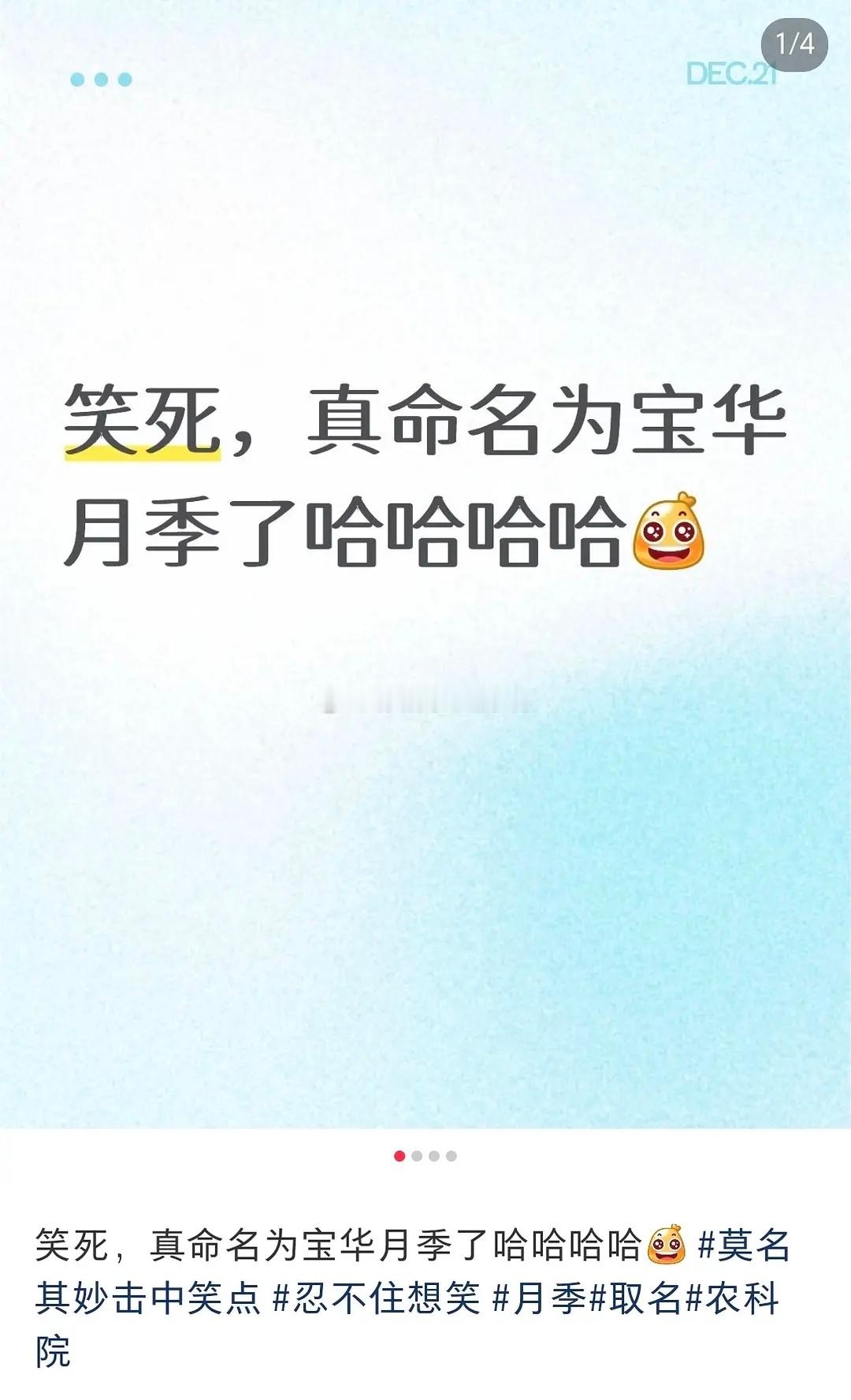 事情起因：农科院新培育出一个品种月季，对网友征名，结果“宝华月季”夺冠😂😂 