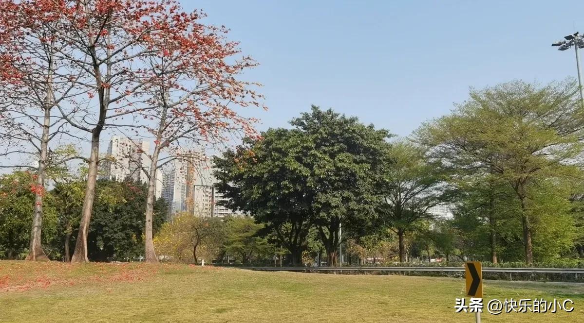 人生低潮时，啥也别硬撑。我经历过，懂那种感觉——像陷在泥里，越挣扎越往下沉。
