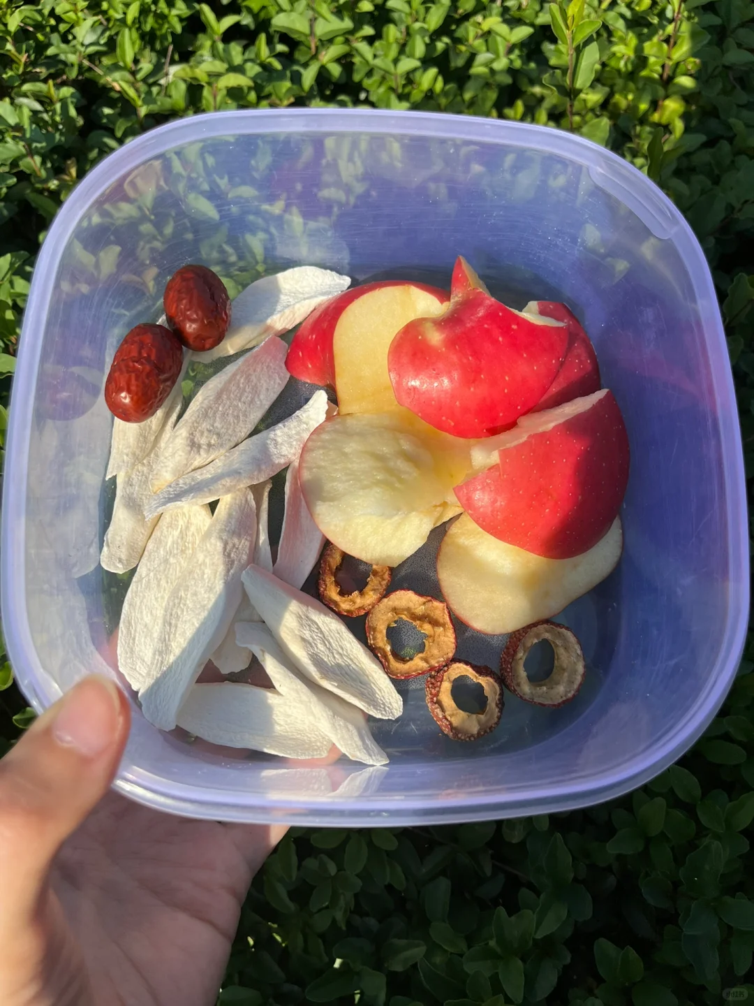 入秋👶🏻3次苹果山药煮水，不易感😷积食！