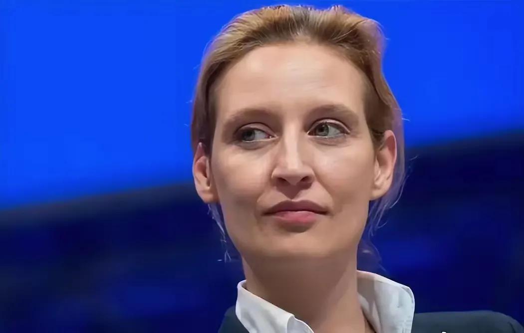 德国选择党领袖魏德尔说，我们多年来只听到针对普京违反国际法的强烈抨击，现在特朗普