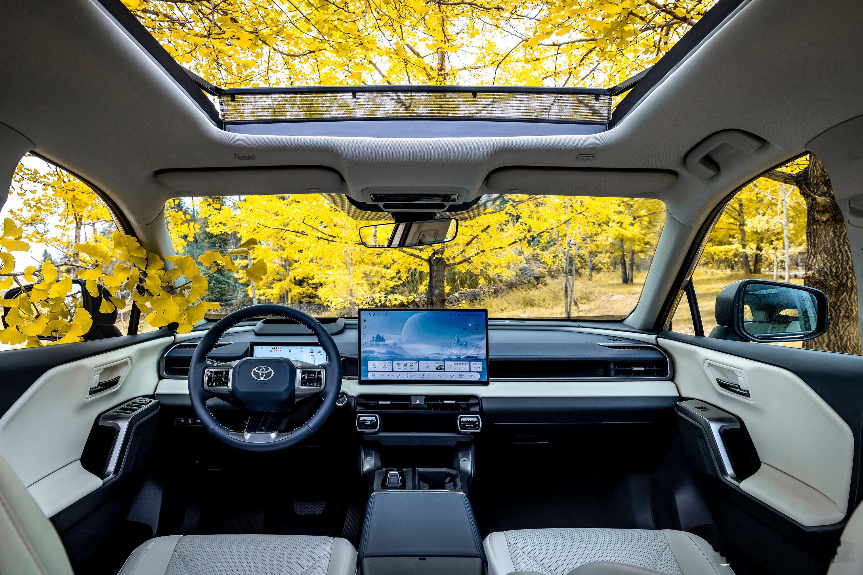 这中控真不懂怎么评价