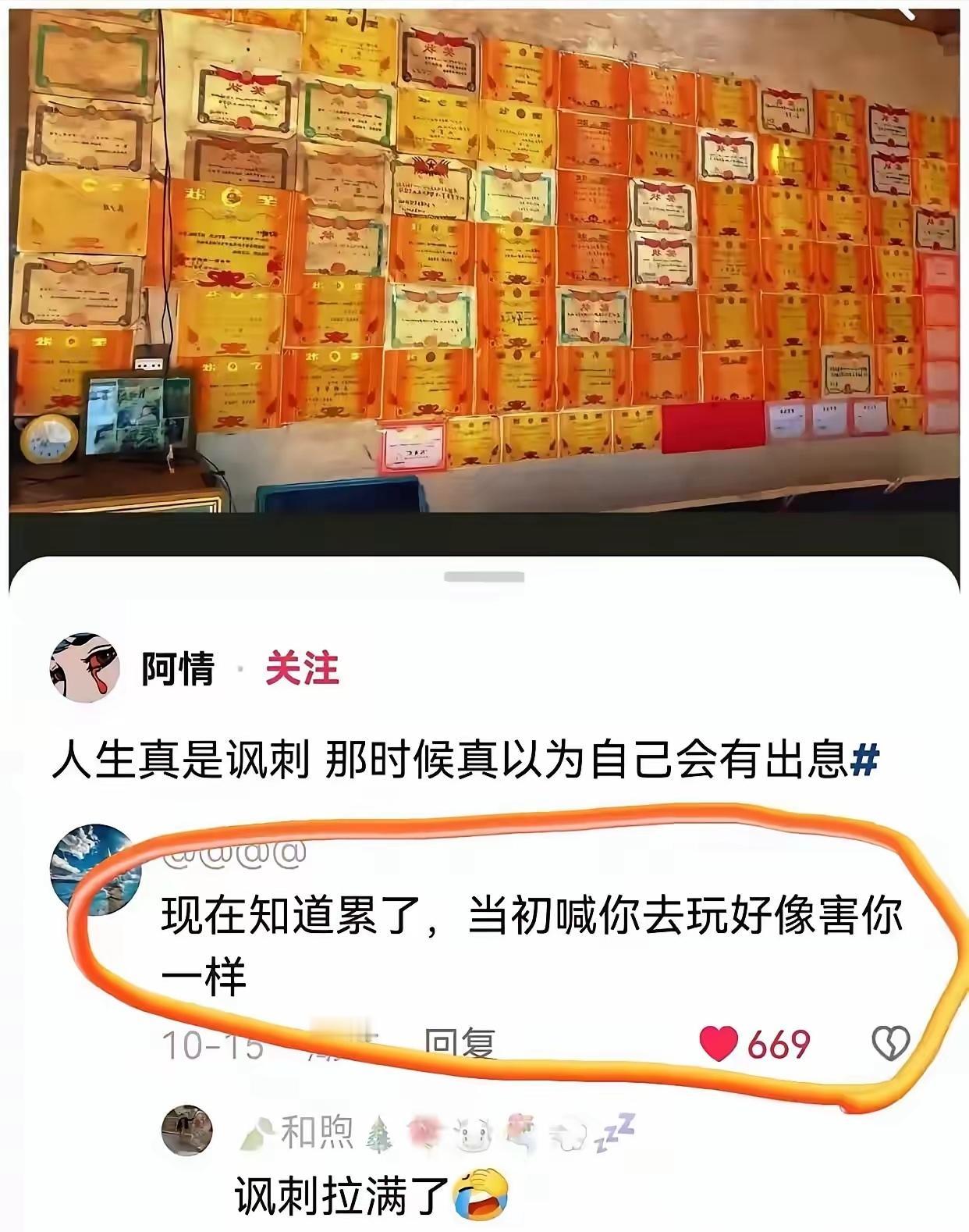 “这贴满一墙的奖状，是韭菜们唯一值得自豪的了。”

“当年墙上一张奖状都没有的我