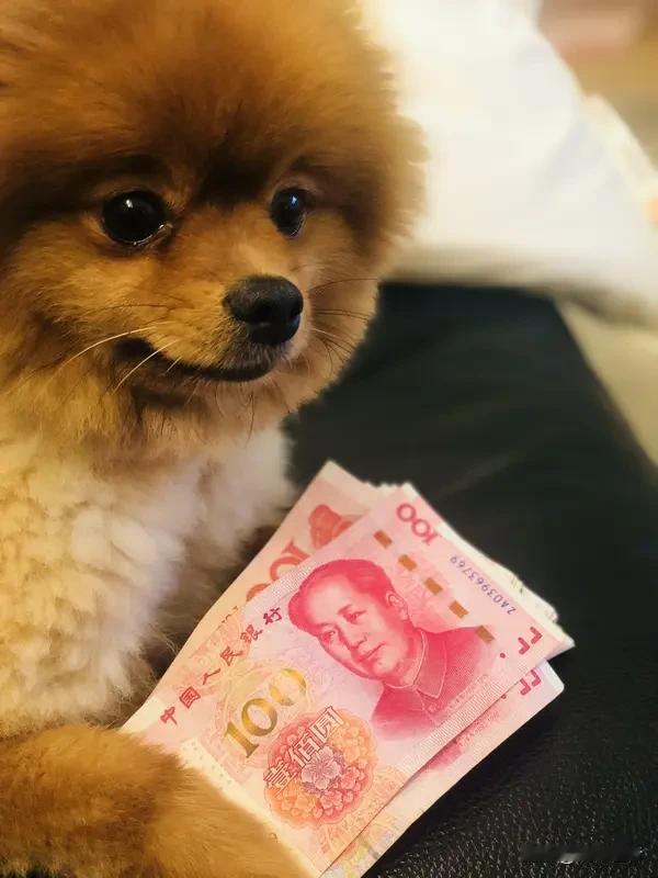 会赚钱更要会生活，别让抠门辜负了美好时光。省钱要省得聪明，花钱要花得漂亮。真正的